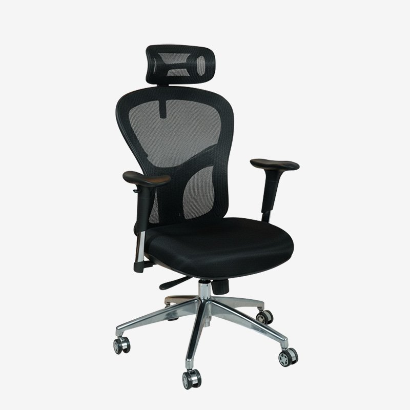 Director Chair PF-NP-09